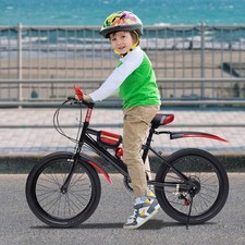 Bicicletta per bambini 20