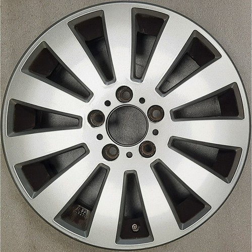 Proline plw cerchio lega - pm,