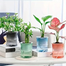 Vaso autoirrigante idroponico