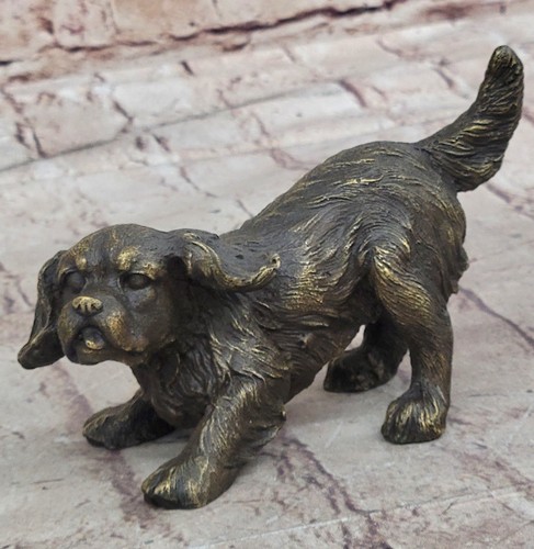 Cavalier king charles - king,