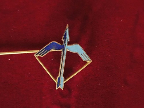 Distintivo pilota alitalia - pilota,