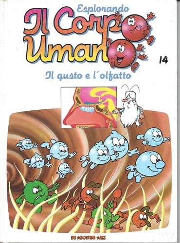 Esplorando corpo umano 14 - il,