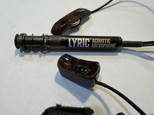 Baggs microfono per - lr,