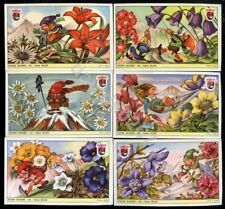 1951  Figurine Lavazza Serie