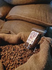 Chicchi di cacao secchi crudi