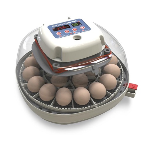 Nurture right egg incubator - right,