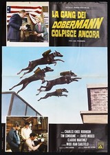 La gang dei doberman colpisce ancora, The Daring Dobermans, one sheet Soggettone