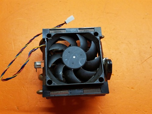 Amd - ⭐️⭐️⭐️⭐️,