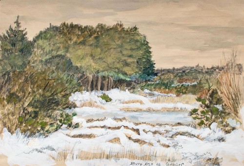 Paesaggio invernale lago arte