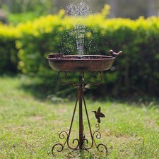 Bagno per uccelli con