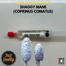 Fungo Coprino Chiomato Coltura