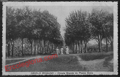 Ak6731 cartolina epoca - -,
