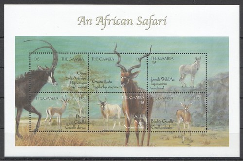 O1206 gambia animali fauna - fauna, un