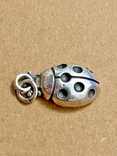 Ciondolo coccinella giovanni - ciondolo,