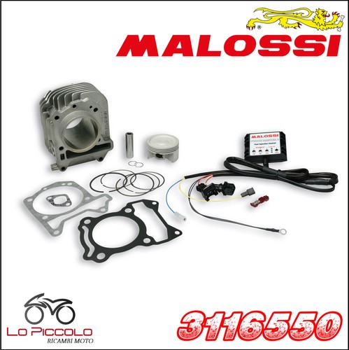 3116550 malossi gruppo termico - malossi,