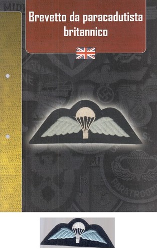 Distintivi militari - cm-,