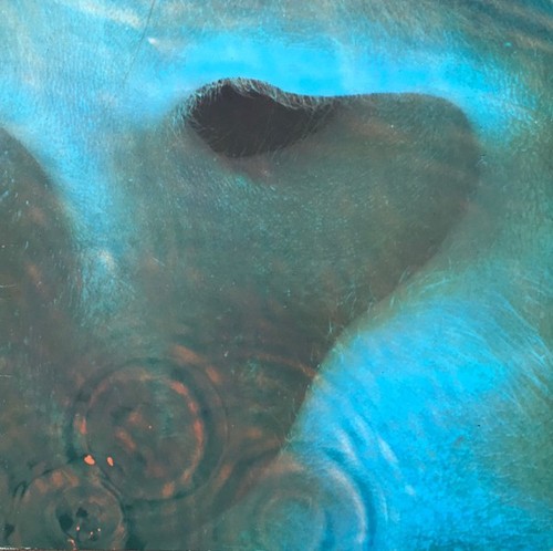 Pink floyd meddle - meddle, lp