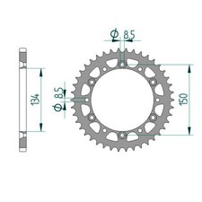 Pignone acciaio per Kawasaki