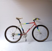   Colnago Master colorazione