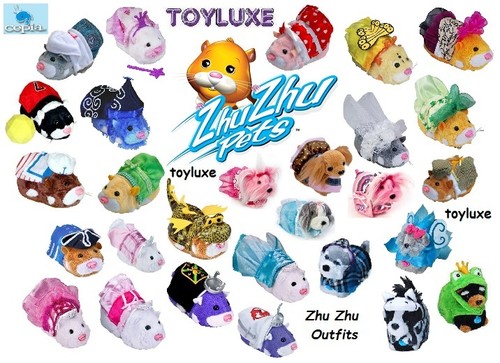 Costume zhu pets criceto - zhu,