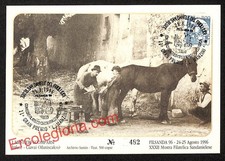 ak3050 - CARTOLINA D'EPOCA - Udine Provincia - San Daniele del Friuli