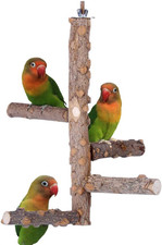 Bird Perch Nature Wood Stand