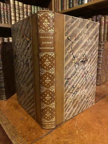 Proprium insignis ecclesiae - proprium,