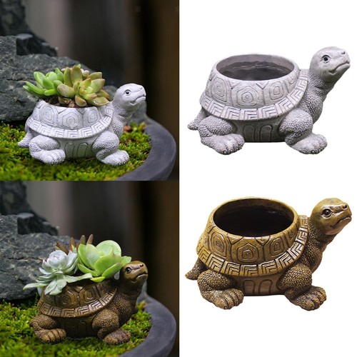 Vaso fiori per tartarughe - vaso,