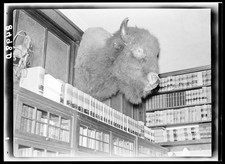 Foto:Dover Delaware 1938