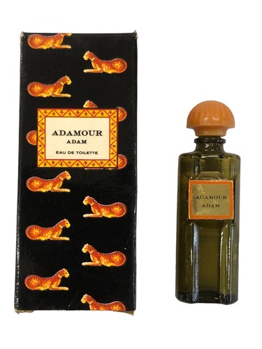 Campioncino adamour aktinsons - campioncino,