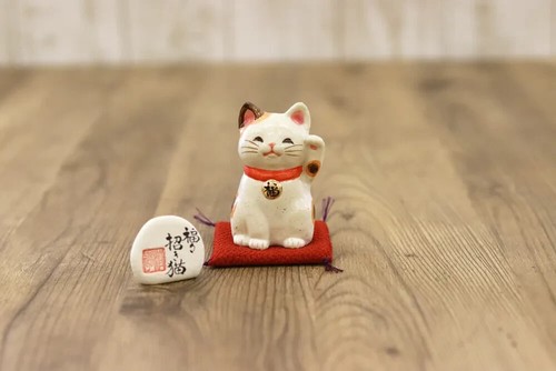 Gatto portafortuna bianco