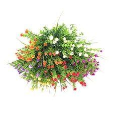  6 Pcs Erba Finta Piantine