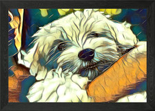 Quadro stampa su tela poster