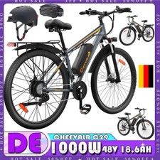 Bicicletta Elettrica 29