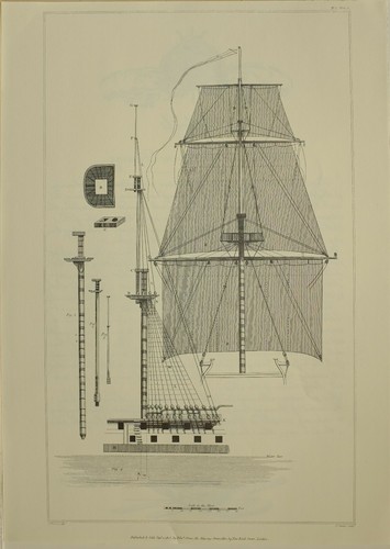 1805 marino stampa alberi di - 1805,