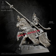 Cavaliere Guerriero Non