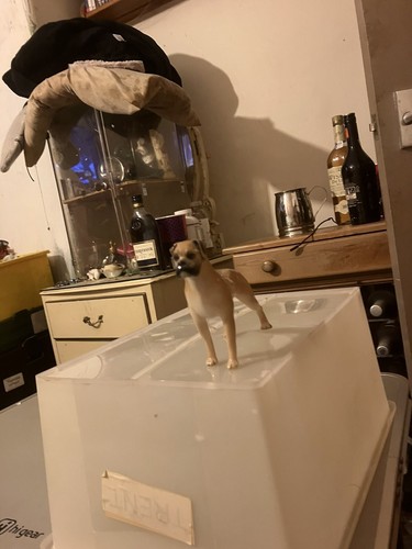 Unknown boxer dog figurine - dog,