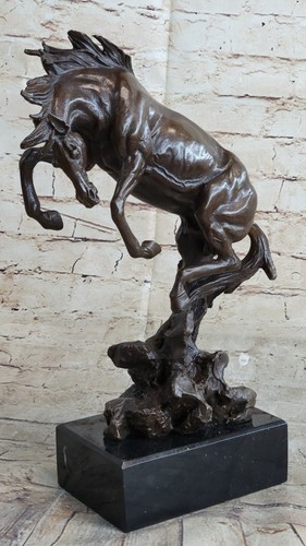 Allevamento cavallo - allevamento, da
