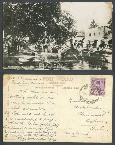 Ceylon egypt 10m - egypt,