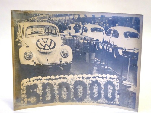 F731 maggiolino volkswagen - maggiolino,