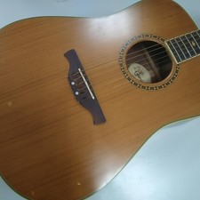 Chitarra acustica CRAFTER DM