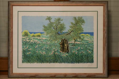 Litografia azzinari il - litografia,