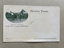 A) Cartolina formato piccolo cavalli Scuderia Trottatori G.B dei baroni Bianchi 