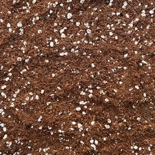 Coco Perlite Mix 70/30 con