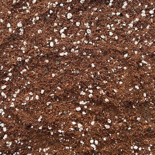 Coco perlite mix con - coco,