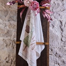 COCCOLE - Bis due canovacci