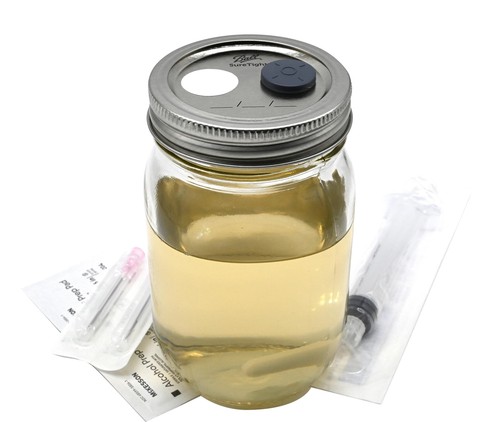 Kit coltura liquida funghi - ,