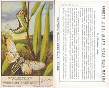 FIGURINA LIEBIG ANNI