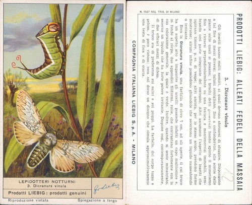 Figurina liebig anni - figurina,