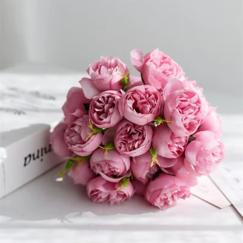 Rosa peonia - rosa,